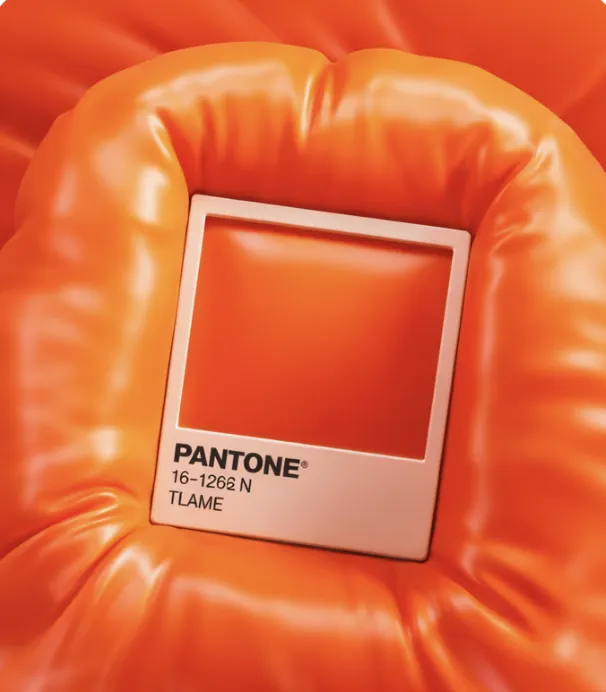 Brillex contact preview